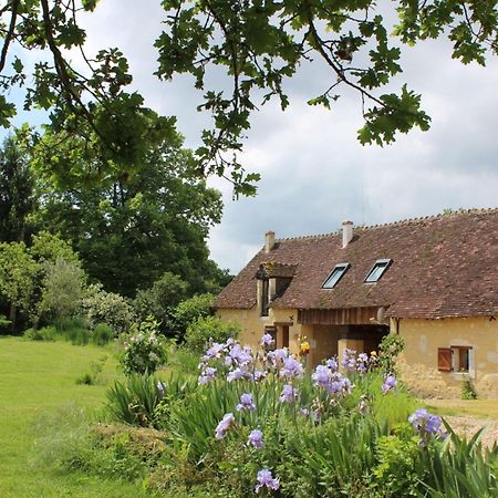 Gites A L'Ombre Des Chenes Chateauvieux  Luaran gambar