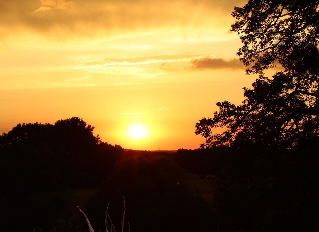 Gites A L'Ombre Des Chenes Chateauvieux  Bilik gambar