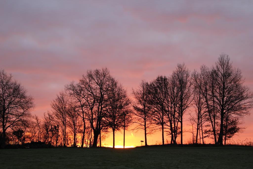 Gites A L'Ombre Des Chenes Chateauvieux  Bilik gambar