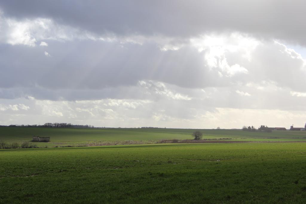 Gites A L'Ombre Des Chenes Chateauvieux  Luaran gambar