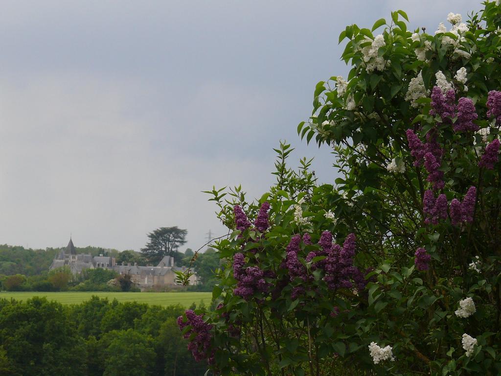 Gites A L'Ombre Des Chenes Chateauvieux  Bilik gambar
